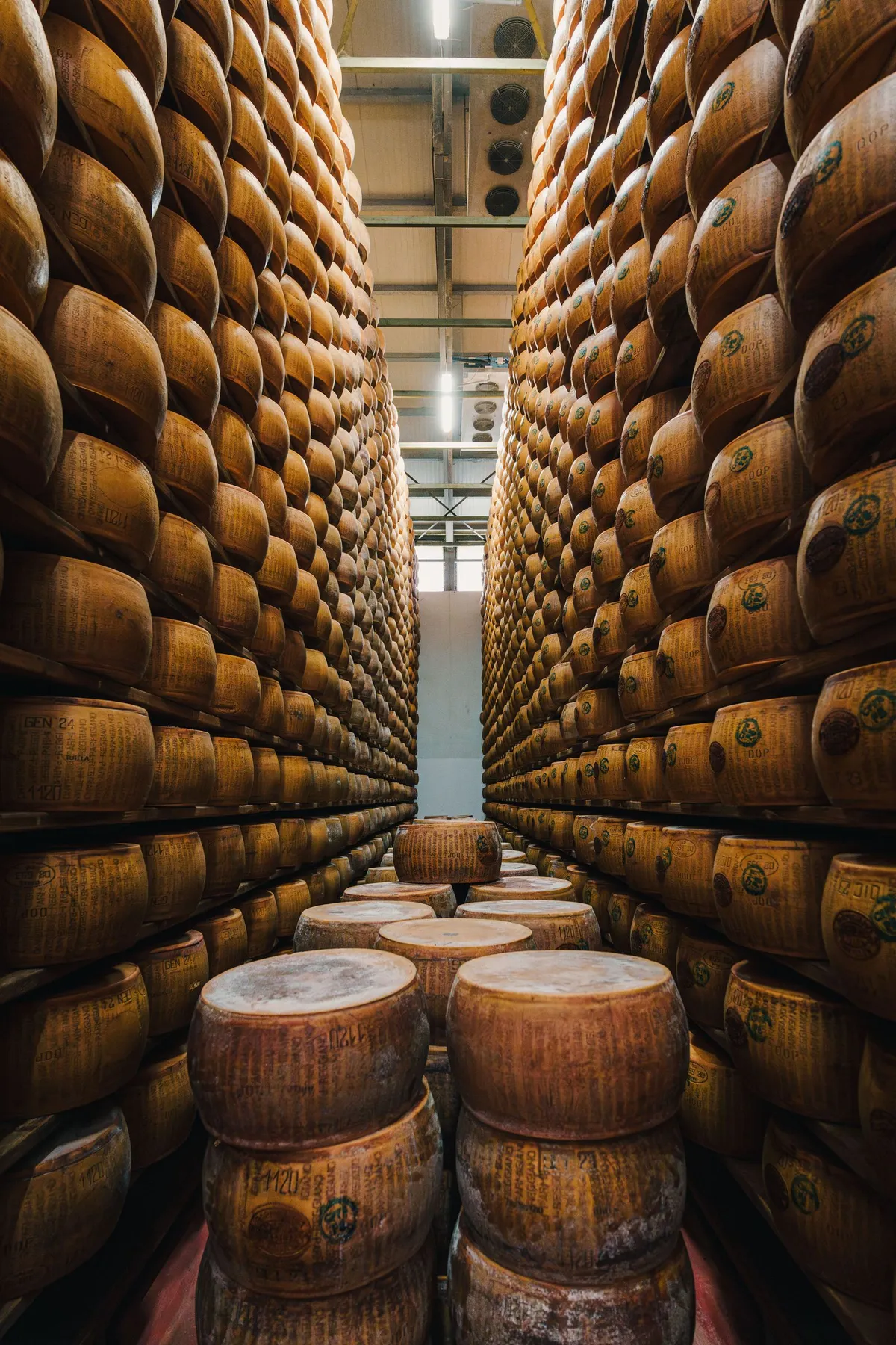 A cellar corridor stacked floor to ceiling with aging Parmesan wheels